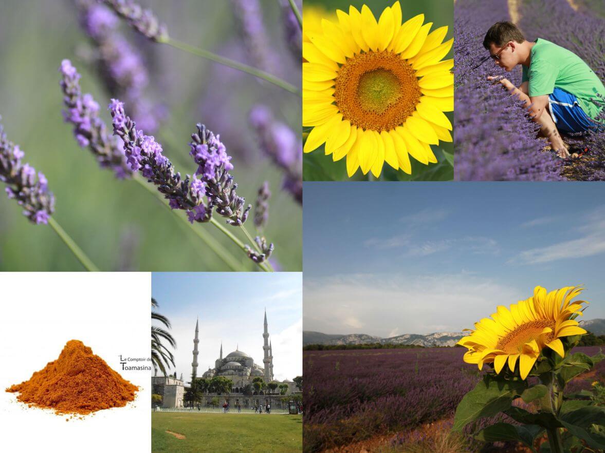 Mélange d’épices méditerranéennes